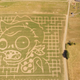 Illustration for article titled Spotted in Oregon: Real Five-Acre emPlants Vs. Zombies/em Corn Maze